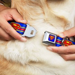 Buckle-Down Superman Polyester Dog Collar, Large: 15 to 26-in neck, 1-in wide slide 2 of 9