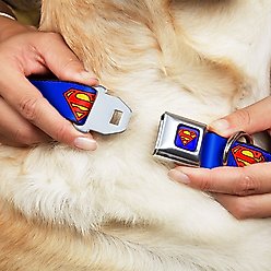 Buckle-Down Superman Shield Seatbelt Buckle Dog Collar, Medium slide 2 of 8