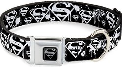 Buckle-Down Superman Shield Splatter Polyester Dog Collar, Medium Wide: 16 to 23-in neck, 1.5-in wide
