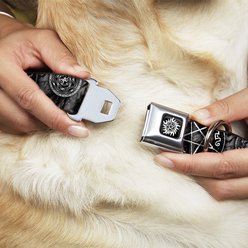 Buckle-Down Supernatural Devil's Trap Dog Collar, Large slide 2 of 9