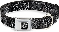 Buckle-Down Supernatural Devil's Trap Dog Collar, Small slide 1 of 9