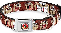Buckle-Down Tasmanian Devil Dog Collar, Large