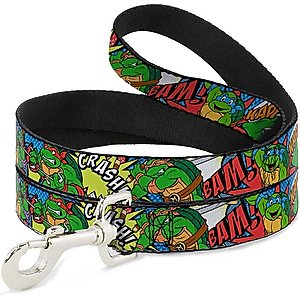 Buckle-Down Teenage Mutant Ninja Turtles Polyester Standard Dog Leash, Small: 4-ft long, 1-in wide