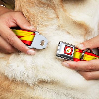 Show full view: Buckle-Down The Flash Seatbelt Buckle Dog Collar, Medium slide 3 of 9