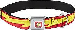 Buckle-Down The Flash Seatbelt Buckle Dog Collar, Wide Large