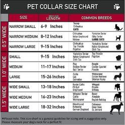 Buckle-Down The Flash Seatbelt Buckle Dog Collar, Wide Medium slide 2 of 9