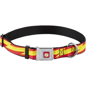 Buckle-Down The Flash Seatbelt Buckle Dog Collar, Wide Small