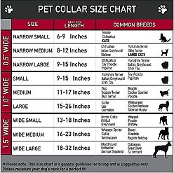 Buckle-Down The Flash Seatbelt Buckle Dog Collar, Wide Small slide 2 of 9