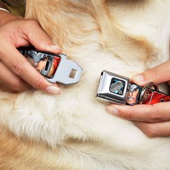Buckle-Down Thor's Hammer Full Dog Collar, Wide-Large slide 2 of 9