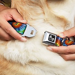 Buckle-Down Tie Dye Dog Collar, Wide-Medium slide 2 of 9