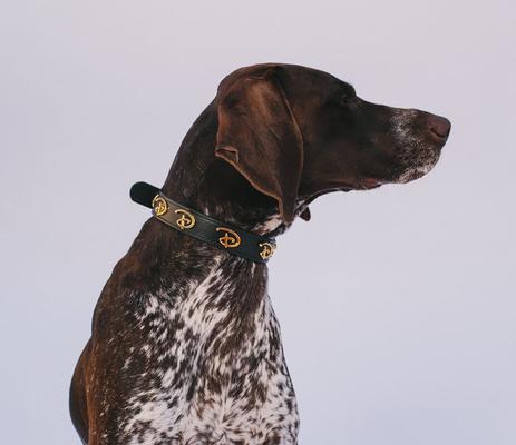 Show full view: Buckle-Down Vegan Leather Disney Black Dog Collar, XX-Large slide 3 of 7