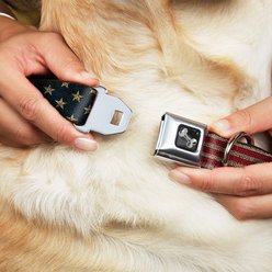 Buckle-Down Vintage US Flag Polyester Seatbelt Buckle Dog Collar, Small: 9 to 15-in neck, 1-in wide slide 2 of 8