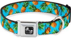 Buckle-Down Vivid Pineapple Dog Collar, Wide-Large