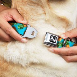 Buckle-Down Vivid Pineapple Dog Collar, Wide-Large slide 2 of 9