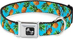 Buckle-Down Vivid Pineapple Dog Collar, Wide-Medium