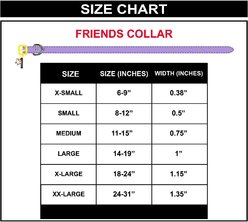 Buckle-Down Warner Bros. Friends Television Show Vegan Leather Dog Collar, XX-Large: 24 to 31-in neck, 1.35-in wide slide 2 of 4