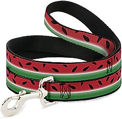 Buckle-Down Watermelon Dog Leash