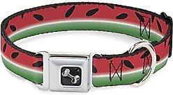 Buckle-Down Watermelon Stripe Dog Collar, Small