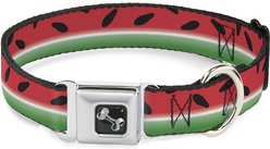 Buckle-Down Watermelon Stripe Dog Collar, Wide-Large