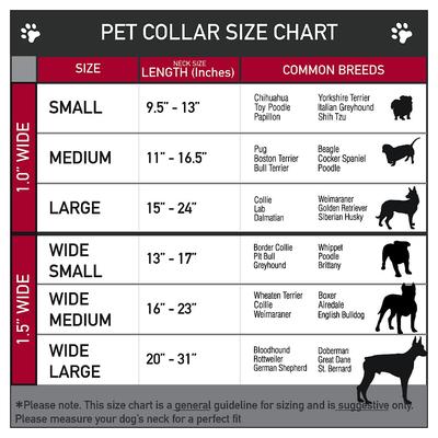 Show full view: Buckle-Down Winchester Pentagram Dog Collar, Small slide 3 of 9