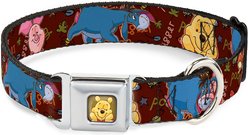 Buckle-Down Winnie the Pooh Dog Collar, Wide-Large