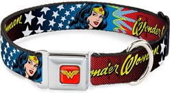 Buckle-Down Wonder Woman Dog Collar, Medium