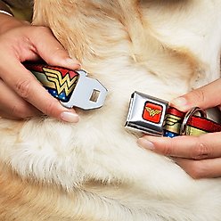 Buckle-Down Wonder Woman Polyester Dog Collar, Small Wide: 13 to 18-in neck, 1.5-in wide slide 2 of 9