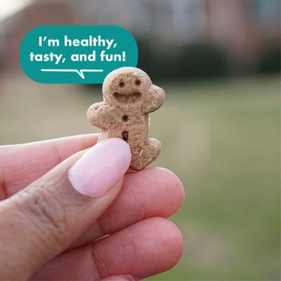 Show full view: Buddy Biscuits Boosters Hip & Joint Chews Chicken Flavor Dog Treats, 5-oz bag slide 4 of 11