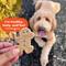 Show in main carousel: Buddy Biscuits Grain-Free Peanut Butter Dog Treats, 14-oz box slide 4 of 9