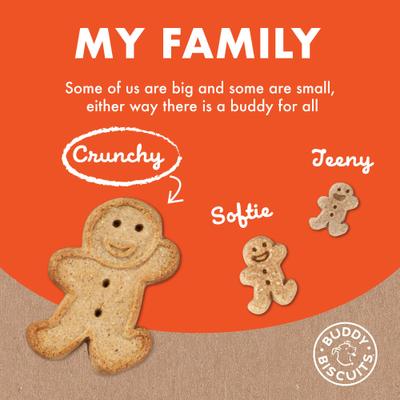 Show full view: Buddy Biscuits Grain-Free Peanut Butter Dog Treats, 14-oz box slide 6 of 9