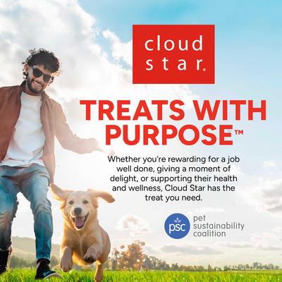 Show full view: Buddy Biscuits Holiday Gingerbread Crunchy Dog Treats, 16-oz box slide 9 of 11