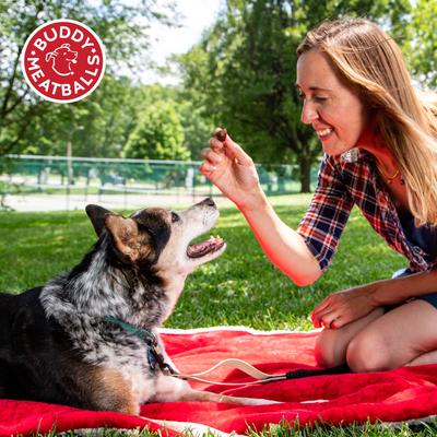 Show full view: Buddy Biscuits Meatball BBQ Beef Soft & Chewy Dog Treats, 7-oz bag slide 9 of 10