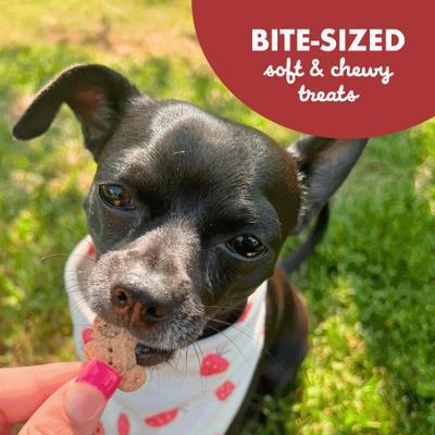 Show full view: Buddy Biscuits Softies with Grilled Beef Grain-Free Soft & Chewy Dog Treats, 5-oz bag slide 7 of 11