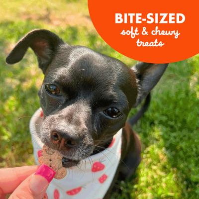 Show full view: Buddy Biscuits Softies with Peanut Butter Soft & Chewy Dog Treats, 5-oz bag slide 7 of 11