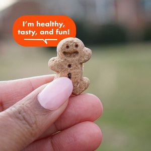 Buddy Biscuits Softies with Peanut Butter Soft & Chewy Dog Treats, 6-oz bag