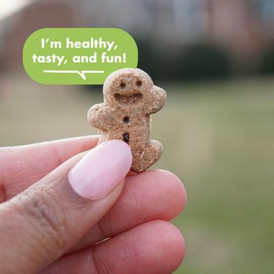 Show full view: Buddy Biscuits Softies with Roasted Chicken Soft & Chewy Dog Treats, 6-oz bag slide 4 of 11