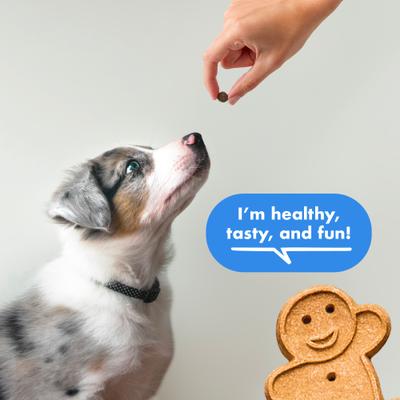 Show full view: Buddy Biscuits Trainers Training Bites Bacon Flavor Dog Treats, 10-oz bag slide 4 of 11