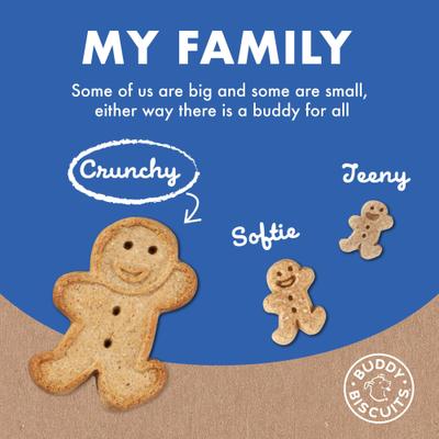 Show full view: Buddy Biscuits with Bacon & Cheese Oven Baked Dog Treats, 3.5-lb bag slide 8 of 11