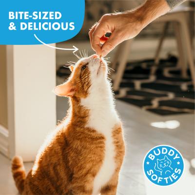 Show full view: Buddy Biscuits with Natural Chicken Grain-Free Cat Treats, 3-oz bag slide 5 of 12