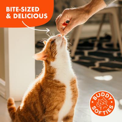 Show full view: Buddy Biscuits with Natural Tuna Grain-Free Cat Treats, 3-oz bag slide 5 of 12