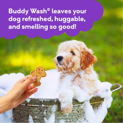 Show full view: Buddy Wash Original Lavender & Mint Dog Shampoo & Conditioner, 16-fl oz bottle, bundle of 2 slide 6 of 11