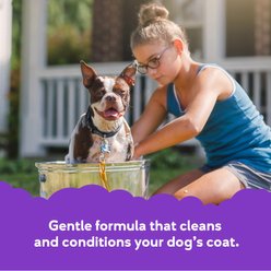 Buddy Wash Original Lavender & Mint Dog Shampoo & Conditioner, 16-fl oz bottle slide 2 of 8