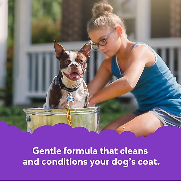 Show full view: Buddy Wash Original Lavender & Mint Dog Spritzer & Conditioner & Buddy Wash Original Lavender & Mint Dog Shampoo & Conditioner, 16-fl oz bottle slide 8 of 10