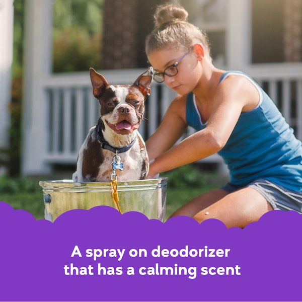Show full view: Buddy Wash Original Lavender & Mint Dog Spritzer & Conditioner & Buddy Wash Original Lavender & Mint Dog Shampoo & Conditioner, 16-fl oz bottle slide 4 of 10