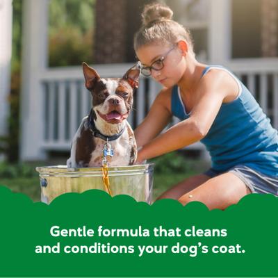 Show full view: Buddy Wash Relaxing Green Tea & Bergamot Dog Shampoo & Conditioner, 16-fl oz bottle slide 2 of 10