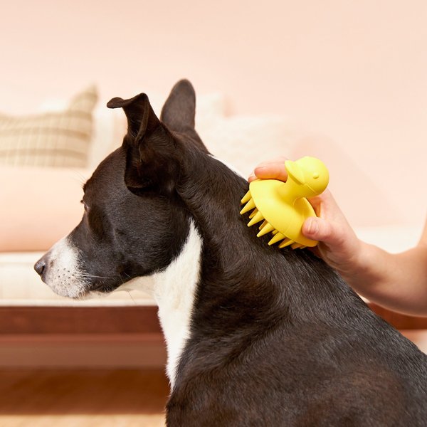 Show full view: Buddy Wash Relaxing Green Tea & Bergamot Dog Shampoo & Conditioner, 16-oz bottle + Frisco Rubber Duckie Dog & Cat Curry Brush slide 8 of 9
