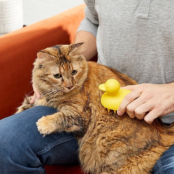 Show full view: Buddy Wash Relaxing Green Tea & Bergamot Dog Shampoo & Conditioner, 16-oz bottle + Frisco Rubber Duckie Dog & Cat Curry Brush slide 9 of 9