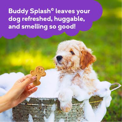 Show full view: Buddy Wash Splash Lavender & Mint Dog Spritzer & Conditioner, 16-fl oz bottle slide 5 of 10