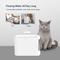 Show in main carousel: Bueteka Automatic Cat Water Fountain, White, Medium slide 7 of 9
