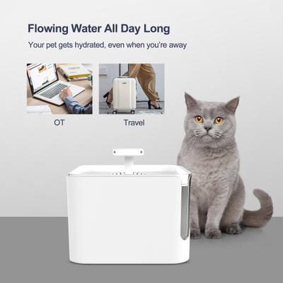 Show full view: Bueteka Automatic Cat Water Fountain, White, Medium slide 7 of 9